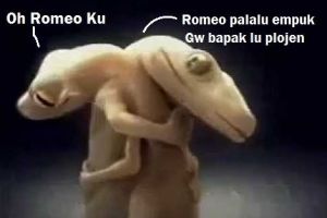 5 Meme obrolan cicak ini saking absurdnya bikin senyummu merekah