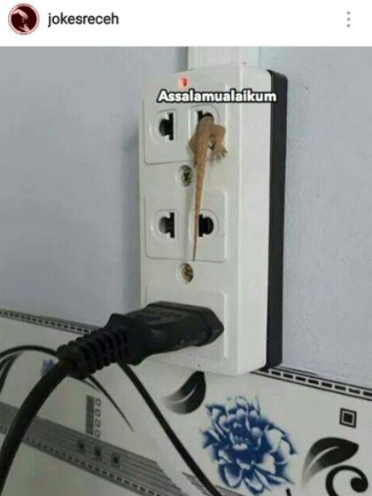 5 Meme obrolan cicak ini saking absurdnya bikin senyummu merekah