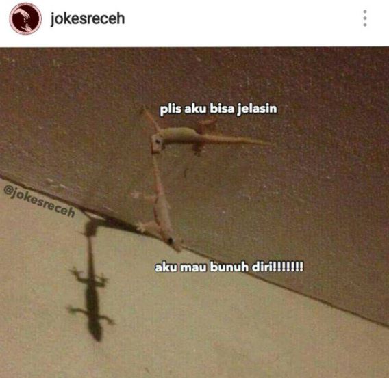 5 Meme obrolan cicak ini saking absurdnya bikin senyummu merekah