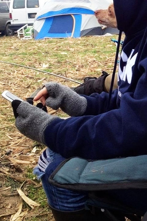 15 Foto hewan dipotret pas waktunya, momen perfect nih