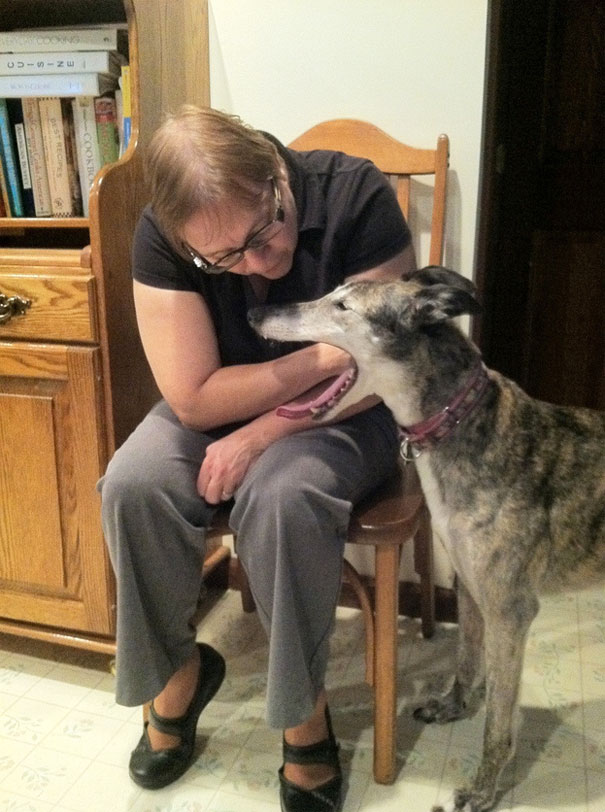 15 Foto hewan dipotret pas waktunya, momen perfect nih