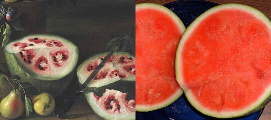 6 Foto buah sayur sebelum dan sesudah dibudidayakan, beda banget