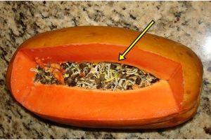 11 Foto ini bukti buah & sayur bisa 'bermutasi' jadi mengerikan