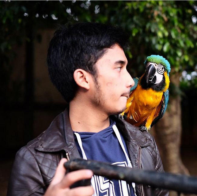 Jadi bapak asuh harimau, ini 5 bukti sepupu Raffi Ahmad pencinta hewan