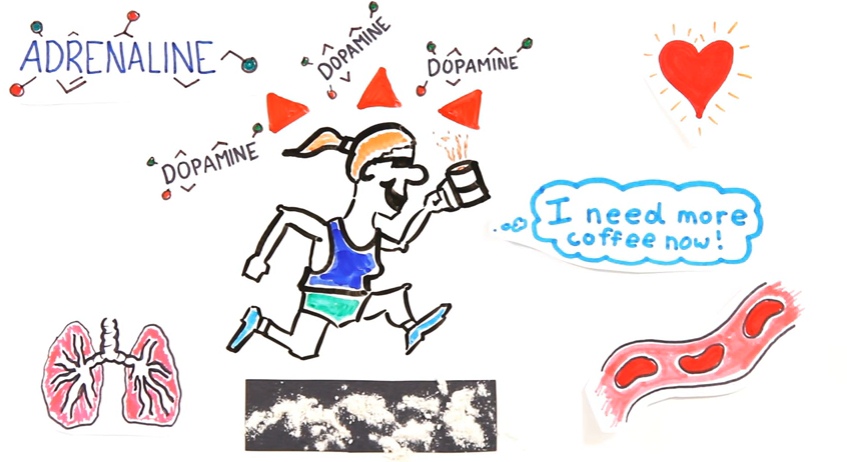 Begini cara kerja kafein di dalam otak yang bikin kamu melek