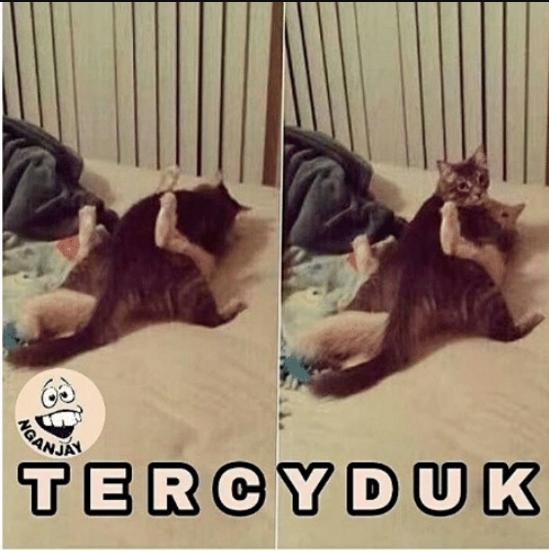 8 Momen 'T E R C Y D U K' ini bikin geleng-geleng tapi juga kocak abis