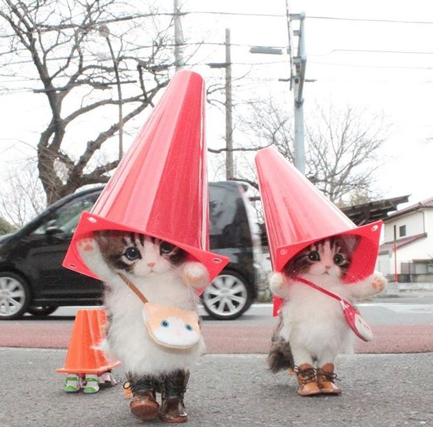 Kayak sungguhan, 10 boneka kucing didandani ala Jepang ini bikin gemes