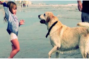 Benarkah pelihara hewan tingkatkan kesehatan anak? Ini penjelasannya