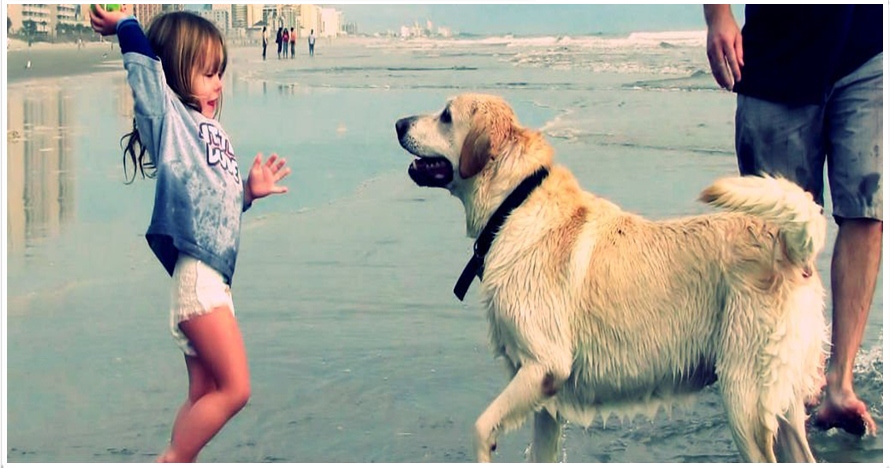 Benarkah pelihara hewan tingkatkan kesehatan anak? Ini penjelasannya