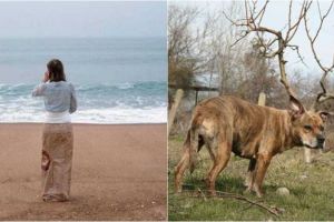 12 Foto unik ini diambil di waktu dan angle yang pas, gokil abis