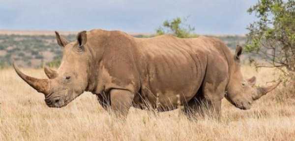 12 Foto unik ini diambil di waktu dan angle yang pas, gokil abis