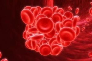 Cara awet muda pakai transfusi darah ini diminati, tarifnya fantastis