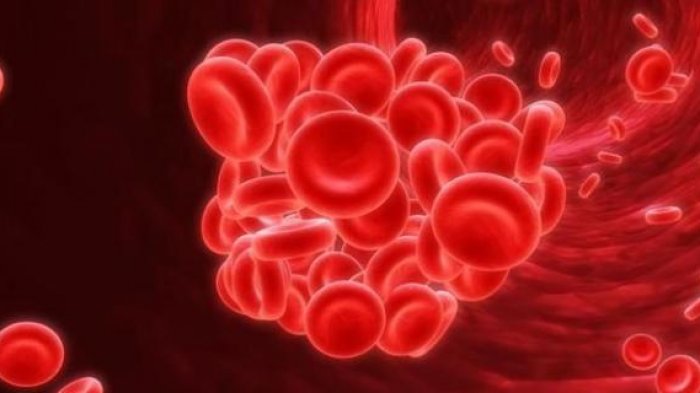 Cara awet muda pakai transfusi darah ini diminati, tarifnya fantastis