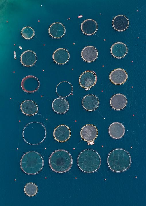 7 Foto tambak ikan diambil dari langit ini artistik banget