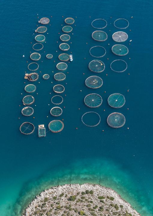 7 Foto tambak ikan diambil dari langit ini artistik banget