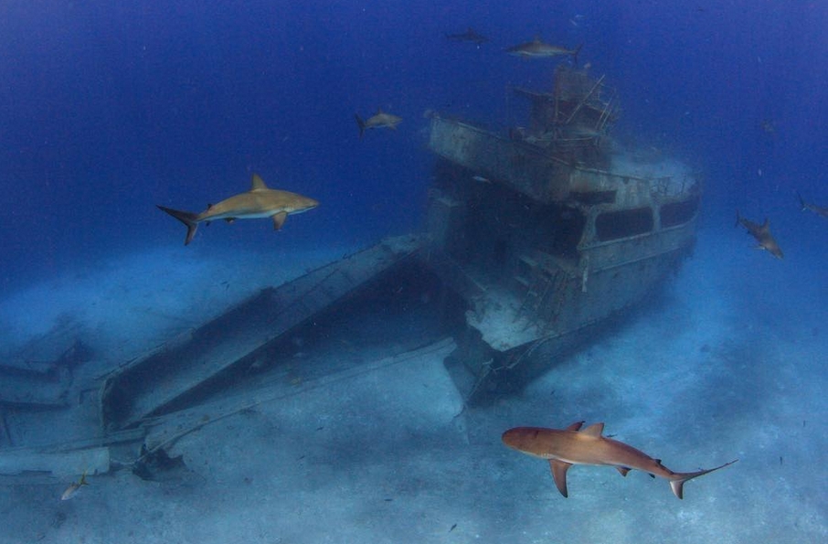 13 Foto bangkai kapal di dasar lautan ini kental dengan nuansa horor