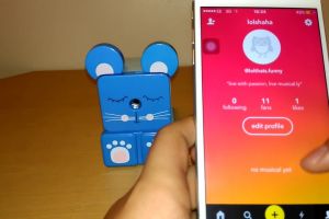 Ini tips supaya video di media sosial cepat viral, kamu wajib tahu nih