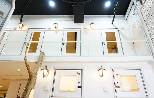 10 Potret mewah hotel bintang 5 untuk kucing, per malam Rp 400 ribuan