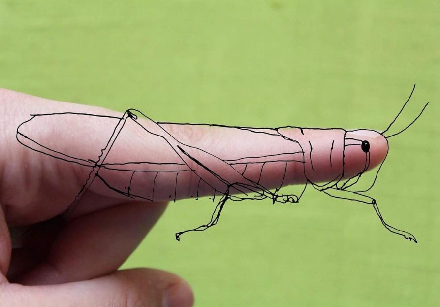 13 Doodle ini dibuat dari bagian tubuh manusia, kreatif banget