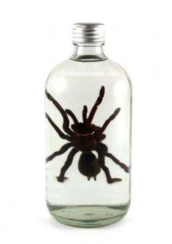 10 Potret wiski ini bikin kamu merinding, isinya serem banget