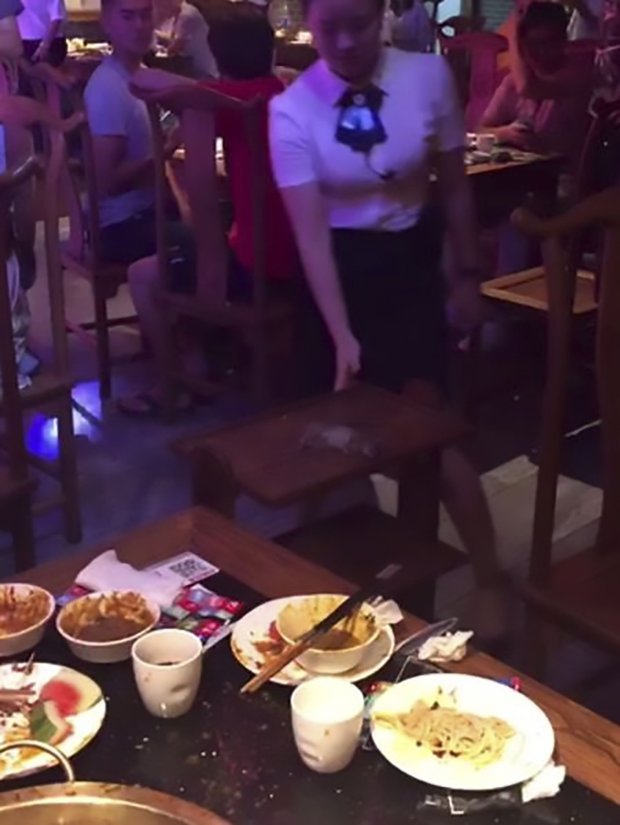 Hewan tiba-tiba jatuh dari atap ini bikin pengunjung restoran jijik