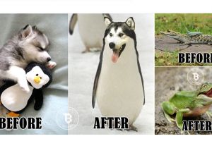 10 Meme hewan hasil selingkuhan ini bakal bikin kamu geli sendiri