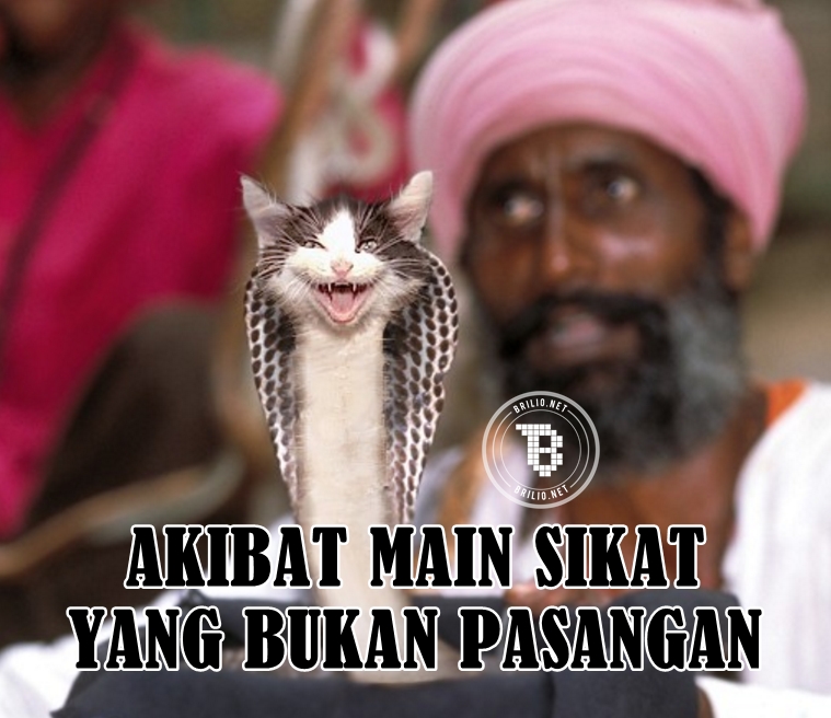 10 Meme hewan hasil selingkuhan ini bakal bikin kamu geli sendiri