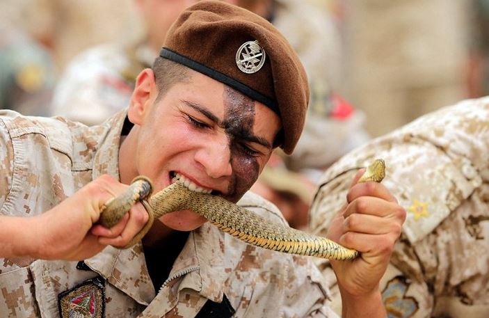 7 Potret tentara gigit ular ini bikin perutmu bergejolak seketika