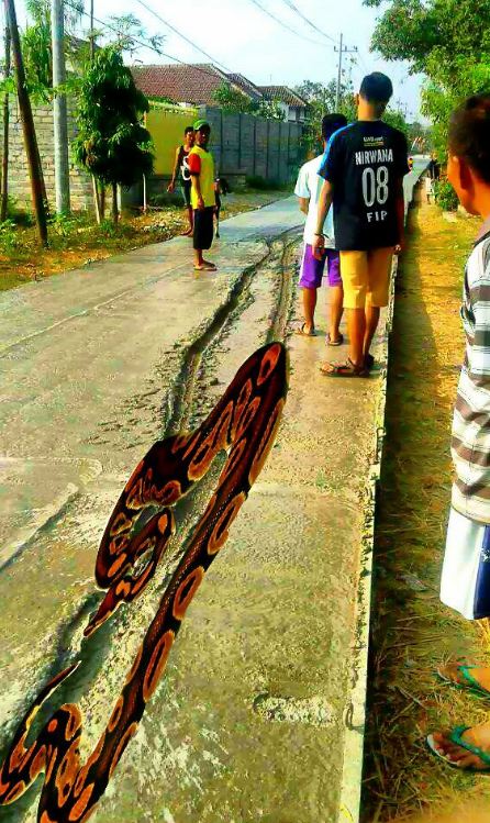 Jejak di jalan cor basah ini bikin bingung siapa sebenarnya yang lewat