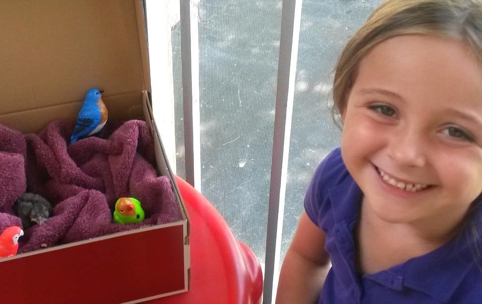 10 Momen haru burung balas budi ke wanita yang dulu menyelamatkannya