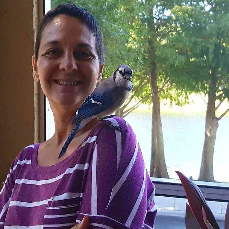 10 Momen haru burung balas budi ke wanita yang dulu menyelamatkannya