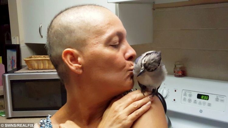 10 Momen haru burung balas budi ke wanita yang dulu menyelamatkannya