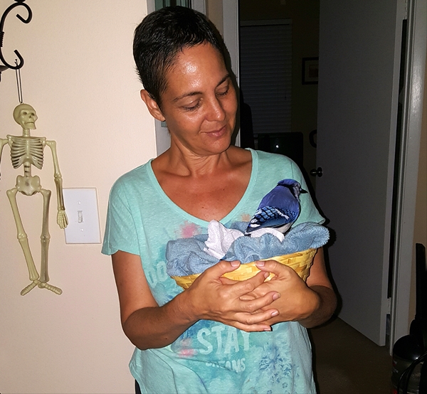 10 Momen haru burung balas budi ke wanita yang dulu menyelamatkannya