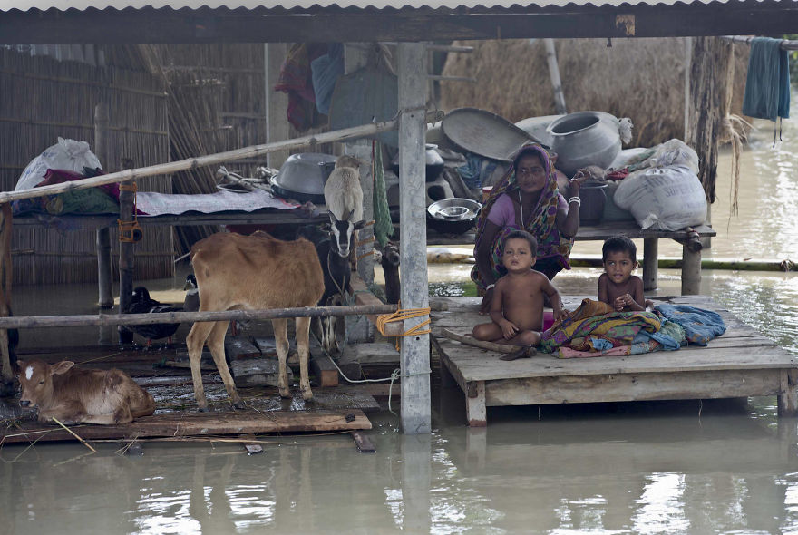 20 Potret menyentuh kawasan Asia Selatan usai dilanda banjir dahsyat