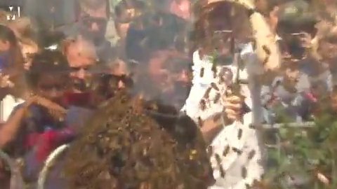 Sejam dikerumuni 100 ribu lebah, pria ini pecahkan rekor baru dunia