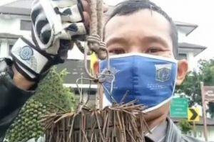 Rohim, penyapu ranjau paku di jalanan Ibu Kota yang tak takut mati