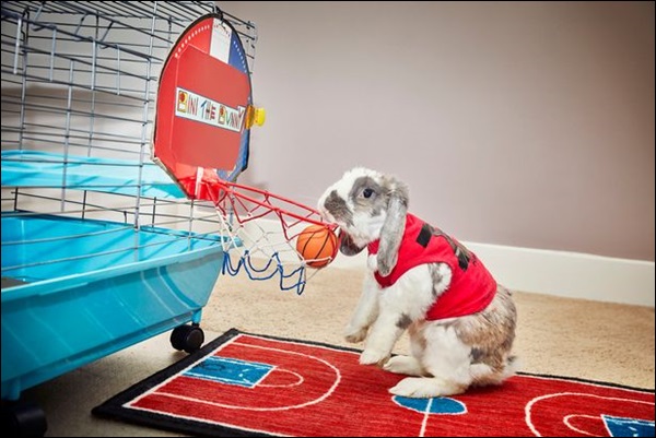 Ini 7 rekor dunia paling aneh yang nggak pernah kamu sangka sebelumnya