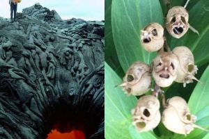 10 Fenomena ini memang alamiah, tapi bikin bulu kuduk merinding