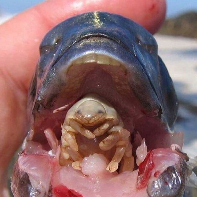 10 Fenomena ini memang alamiah, tapi bikin bulu kuduk merinding