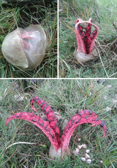 10 Fenomena ini memang alamiah, tapi bikin bulu kuduk merinding