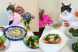 15 Tingkah lucu kucing Jepang berlagak makan malam, gemesin banget