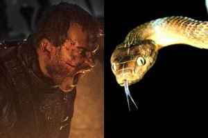 Ini cara agar tidak menjemput ajal setelah digigit ular berbisa