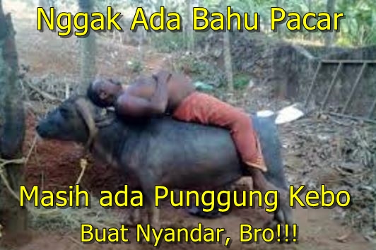 10 Meme 'nggak ada bahu pacar' ini bikin hati jomblo makin berduka