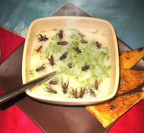 8 Editan foto makanan ini bak sarang hewan menjijikkan