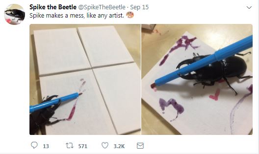 10 Kelakuan kumbang rusa ini bikin gemes, hobinya melukis