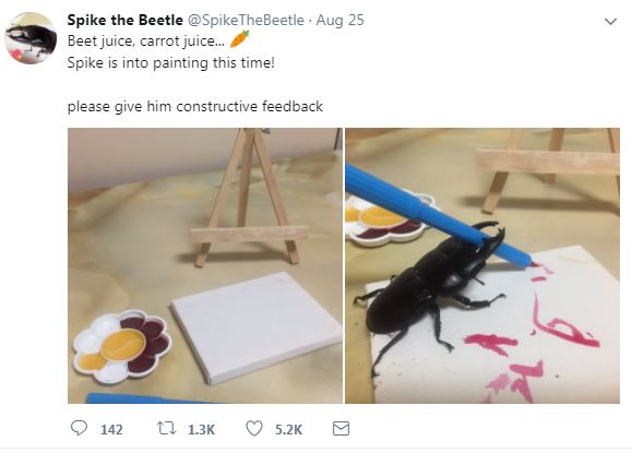 10 Kelakuan kumbang rusa ini bikin gemes, hobinya melukis