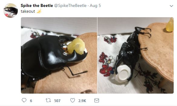 10 Kelakuan kumbang rusa ini bikin gemes, hobinya melukis