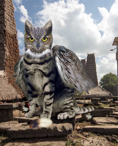 15 Editan kucing dan burung ini keren abis, coba ada di dunia nyata