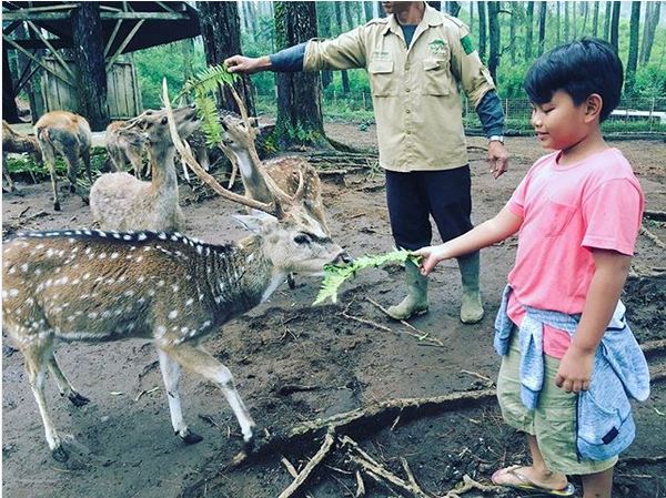 11 Momen kebersamaan Dewi Perssik dan anak angkatnya, super kompak