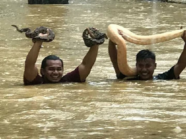 10 Potret ngeri saat taman ular diterjang banjir, bikin merinding